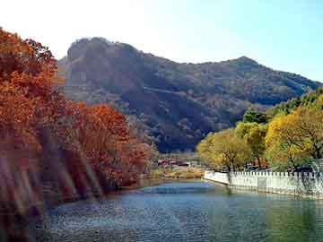 新澳天天开奖资料大全旅游团，豪门小说